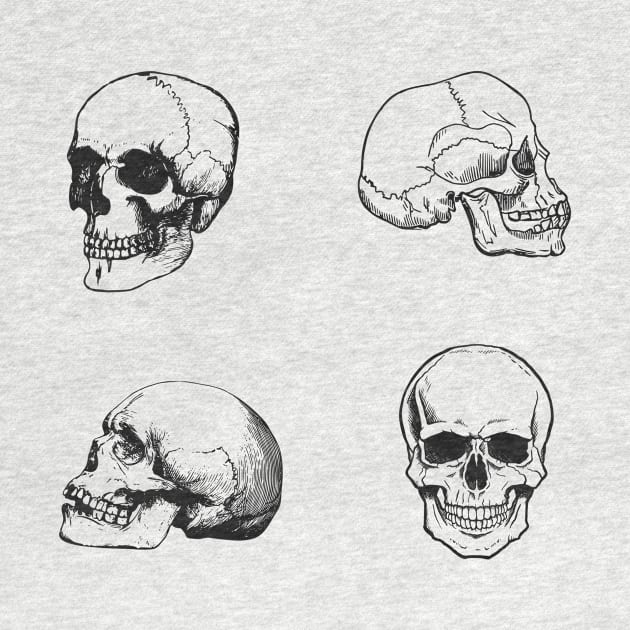 Anatomy Skulls Pack by Illume Stickers